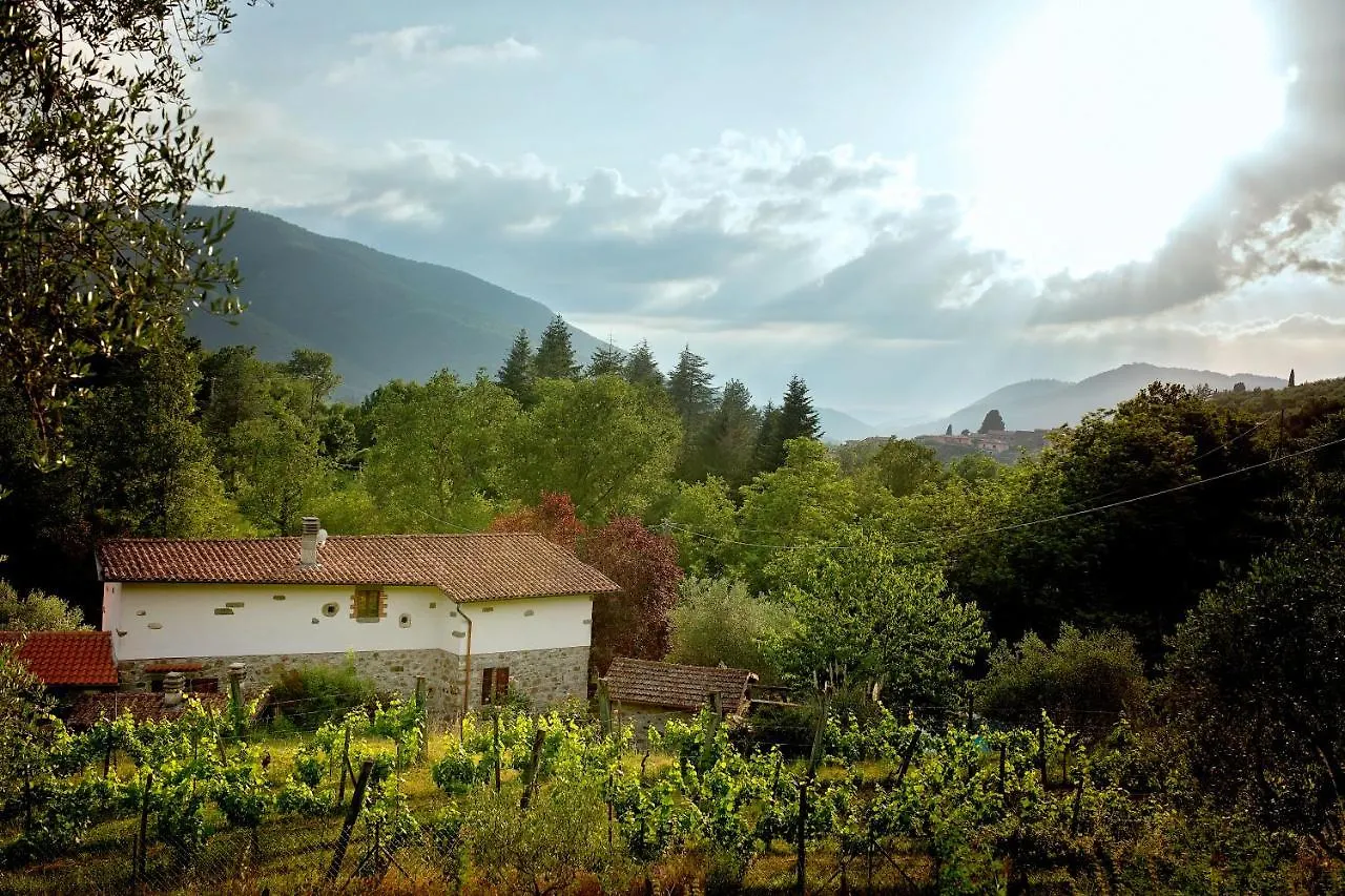 Villa Mulino Vecchio Minucciano